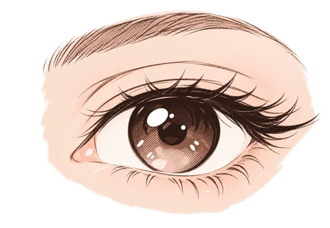 黒・こげ茶の瞳のイラスト